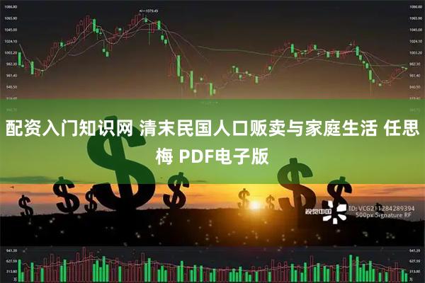 配资入门知识网 清末民国人口贩卖与家庭生活 任思梅 PDF电子版